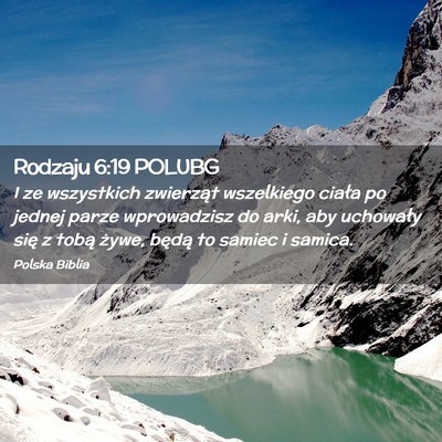 Picture 02 - Rodzaju 6:19 POLUBG - I ze wszystkich zwierząt wszelkiego ciała po - Bible Verse Picture