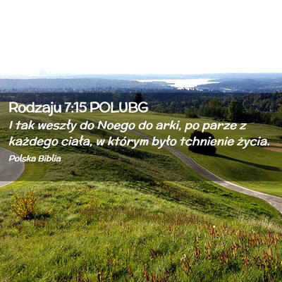 Picture 02 - Rodzaju 7:15 POLUBG - I tak weszły do Noego do arki, po parze z - Bible Verse Picture