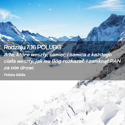 Picture 02 - Rodzaju 7:16 POLUBG - A te, które weszły, samiec i samica z każdego - Bible Verse Picture