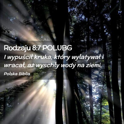 Picture 02 - Rodzaju 8:7 POLUBG - I wypuścił kruka, który wylatywał i wracał, - Bible Verse Picture