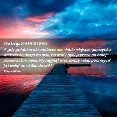 Picture 02 - Rodzaju 8:9 POLUBG - A gdy gołębica nie znalazła dla siebie miejsca - Bible Verse Picture