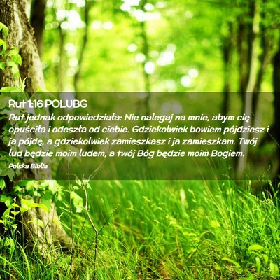 Picture 02 - Rut 1:16 POLUBG - Rut jednak odpowiedziała: Nie nalegaj na mnie, - Bible Verse Picture