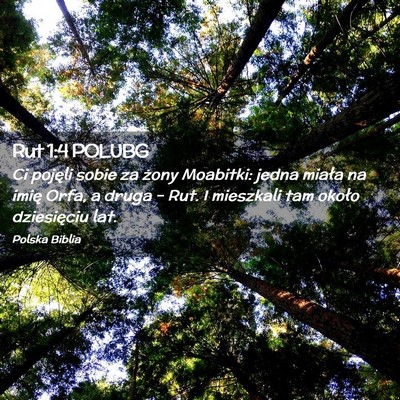 Picture 02 - Rut 1:4 POLUBG - Ci pojęli sobie za żony Moabitki: jedna miała - Bible Verse Picture