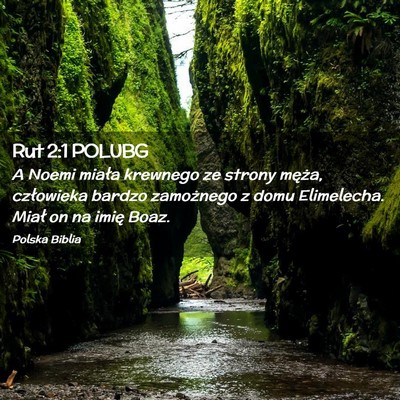 Picture 02 - Rut 2:1 POLUBG - A Noemi miała krewnego ze strony męża, - Bible Verse Picture