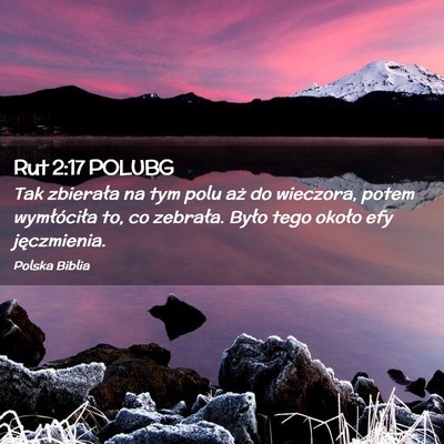 Picture 02 - Rut 2:17 POLUBG - Tak zbierała na tym polu aż do wieczora, potem - Bible Verse Picture