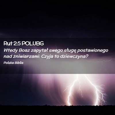 Picture 02 - Rut 2:5 POLUBG - Wtedy Boaz zapytał swego sługę postawionego - Bible Verse Picture