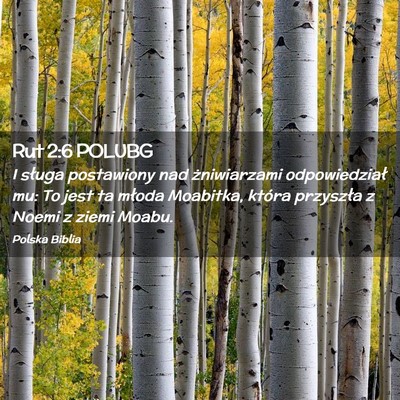 Picture 02 - Rut 2:6 POLUBG - I sługa postawiony nad żniwiarzami - Bible Verse Picture