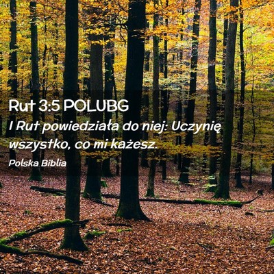 Picture 02 - Rut 3:5 POLUBG - I Rut powiedziała do niej: Uczynię wszystko, co - Bible Verse Picture