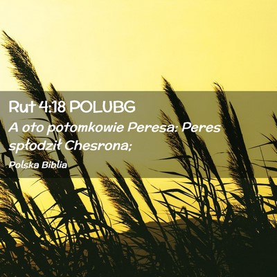 Picture 02 - Rut 4:18 POLUBG - A oto potomkowie Peresa: Peres spłodził - Bible Verse Picture