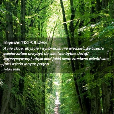 Picture 02 - Rzymian 1:13 POLUBG - A nie chcę, abyście i wy, bracia, nie - Bible Verse Picture