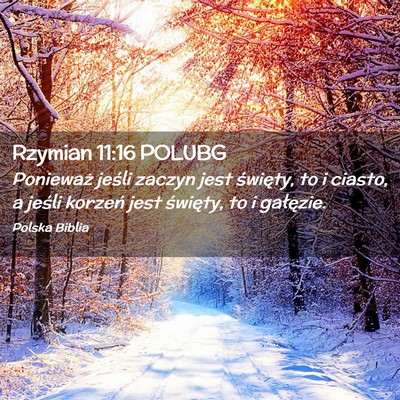 Picture 02 - Rzymian 11:16 POLUBG - Ponieważ jeśli zaczyn jest święty, to i - Bible Verse Picture