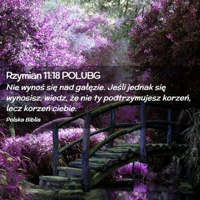 Picture 02 - Rzymian 11:18 POLUBG - Nie wynoś się nad gałęzie. Jeśli jednak się - Bible Verse Picture