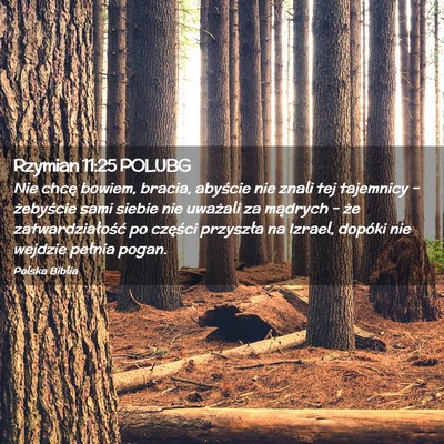 Picture 02 - Rzymian 11:25 POLUBG - Nie chcę bowiem, bracia, abyście nie znali tej - Bible Verse Picture