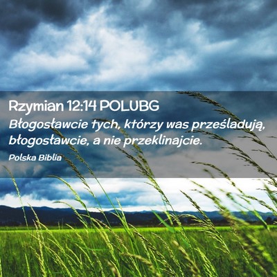 Picture 02 - Rzymian 12:14 POLUBG - Błogosławcie tych, którzy was prześladują, - Bible Verse Picture