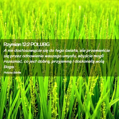 Picture 02 - Rzymian 12:2 POLUBG - A nie dostosowujcie się do tego świata, ale - Bible Verse Picture