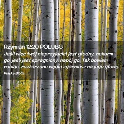 Picture 02 - Rzymian 12:20 POLUBG - Jeśli więc twój nieprzyjaciel jest głodny, - Bible Verse Picture