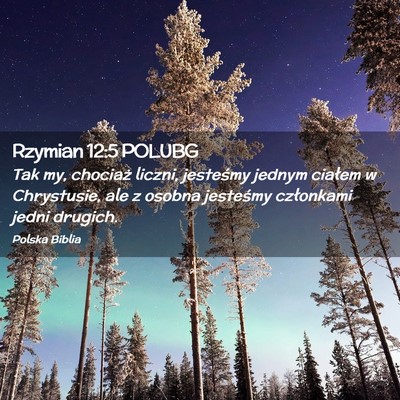 Picture 02 - Rzymian 12:5 POLUBG - Tak my, chociaż liczni, jesteśmy jednym ciałem - Bible Verse Picture