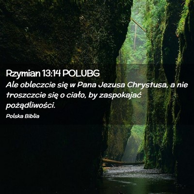 Picture 02 - Rzymian 13:14 POLUBG - Ale obleczcie się w Pana Jezusa Chrystusa, a nie - Bible Verse Picture