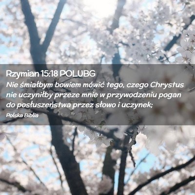 Picture 02 - Rzymian 15:18 POLUBG - Nie śmiałbym bowiem mówić tego, czego - Bible Verse Picture