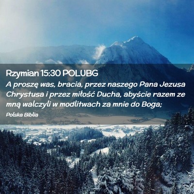Picture 02 - Rzymian 15:30 POLUBG - A proszę was, bracia, przez naszego Pana Jezusa - Bible Verse Picture