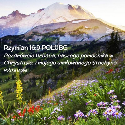 Picture 02 - Rzymian 16:9 POLUBG - Pozdrówcie Urbana, naszego pomocnika w - Bible Verse Picture