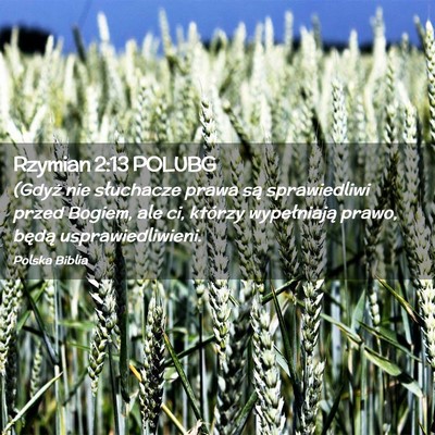 Picture 02 - Rzymian 2:13 POLUBG - (Gdyż nie słuchacze prawa są sprawiedliwi - Bible Verse Picture