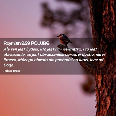 Picture 02 - Rzymian 2:29 POLUBG - Ale ten jest Żydem, kto jest nim wewnątrz, i to - Bible Verse Picture