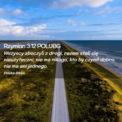 Picture 02 - Rzymian 3:12 POLUBG - Wszyscy zboczyli z drogi, razem stali się - Bible Verse Picture