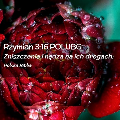 Picture 02 - Rzymian 3:16 POLUBG - Zniszczenie i nędza na ich - Bible Verse Picture