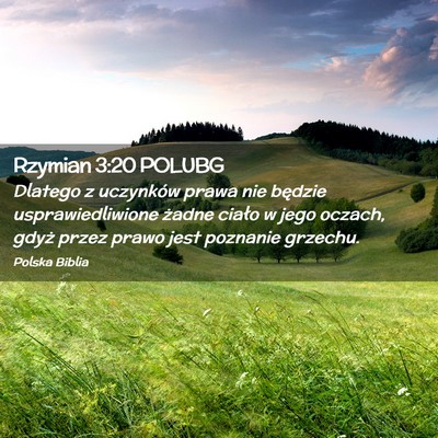 Picture 02 - Rzymian 3:20 POLUBG - Dlatego z uczynków prawa nie będzie - Bible Verse Picture