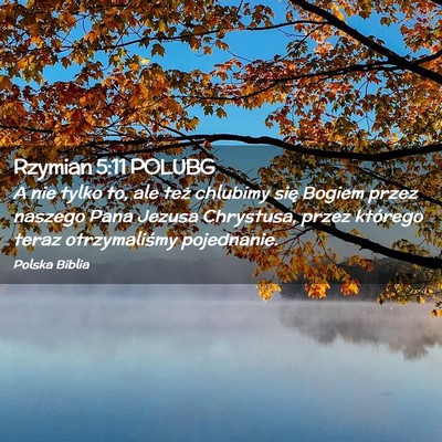 Picture 02 - Rzymian 5:11 POLUBG - A nie tylko to, ale też chlubimy się Bogiem - Bible Verse Picture