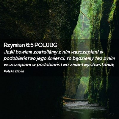 Picture 02 - Rzymian 6:5 POLUBG - Jeśli bowiem zostaliśmy z nim wszczepieni w - Bible Verse Picture