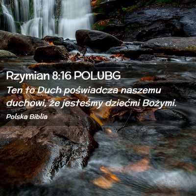 Picture 02 - Rzymian 8:16 POLUBG - Ten to Duch poświadcza naszemu duchowi, że - Bible Verse Picture