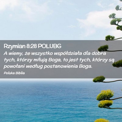 Picture 02 - Rzymian 8:28 POLUBG - A wiemy, że wszystko współdziała dla dobra - Bible Verse Picture