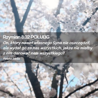 Picture 02 - Rzymian 8:32 POLUBG - On, który nawet własnego Syna nie oszczędził, - Bible Verse Picture
