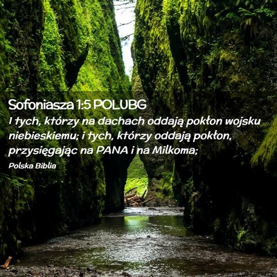 Picture 02 - Sofoniasza 1:5 POLUBG - I tych, którzy na dachach oddają pokłon wojsku - Bible Verse Picture
