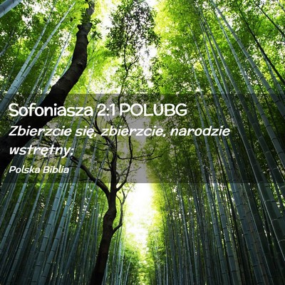 Picture 02 - Sofoniasza 2:1 POLUBG - Zbierzcie się, zbierzcie, narodzie - Bible Verse Picture
