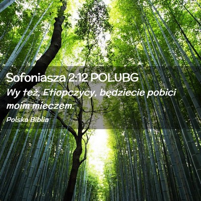 Picture 02 - Sofoniasza 2:12 POLUBG - Wy też, Etiopczycy, będziecie pobici moim - Bible Verse Picture