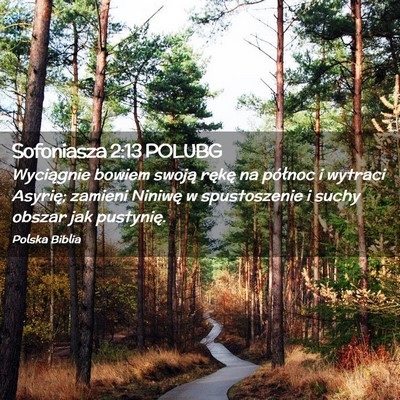 Picture 02 - Sofoniasza 2:13 POLUBG - Wyciągnie bowiem swoją rękę na północ i - Bible Verse Picture