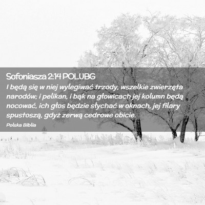 Picture 02 - Sofoniasza 2:14 POLUBG - I będą się w niej wylegiwać trzody, wszelkie - Bible Verse Picture