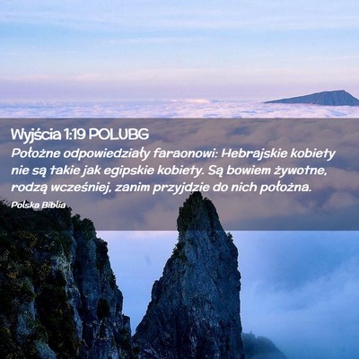 Picture 02 - Wyjścia 1:19 POLUBG - Położne odpowiedziały faraonowi: Hebrajskie - Bible Verse Picture