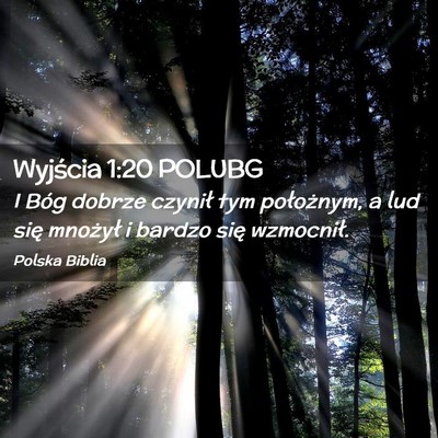 Picture 02 - Wyjścia 1:20 POLUBG - I Bóg dobrze czynił tym położnym, a lud się - Bible Verse Picture