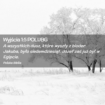 Picture 02 - Wyjścia 1:5 POLUBG - A wszystkich dusz, które wyszły z bioder - Bible Verse Picture