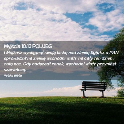 Picture 02 - Wyjścia 10:13 POLUBG - I Mojżesz wyciągnął swoją laskę nad ziemię - Bible Verse Picture