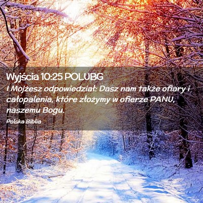 Picture 02 - Wyjścia 10:25 POLUBG - I Mojżesz odpowiedział: Dasz nam także ofiary - Bible Verse Picture