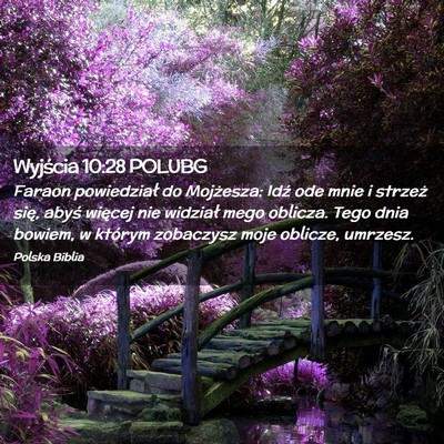 Picture 02 - Wyjścia 10:28 POLUBG - Faraon powiedział do Mojżesza: Idź ode mnie i - Bible Verse Picture