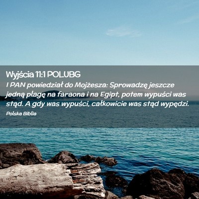 Picture 02 - Wyjścia 11:1 POLUBG - I PAN powiedział do Mojżesza: Sprowadzę - Bible Verse Picture