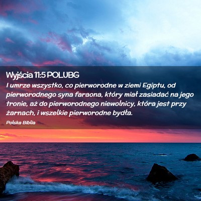 Picture 02 - Wyjścia 11:5 POLUBG - I umrze wszystko, co pierworodne w ziemi Egiptu, - Bible Verse Picture