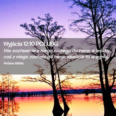 Picture 02 - Wyjścia 12:10 POLUBG - Nie zostawicie z niego niczego do rana; a - Bible Verse Picture