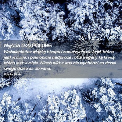 Picture 02 - Wyjścia 12:22 POLUBG - Weźmiecie też wiązkę hizopu i zanurzycie we - Bible Verse Picture